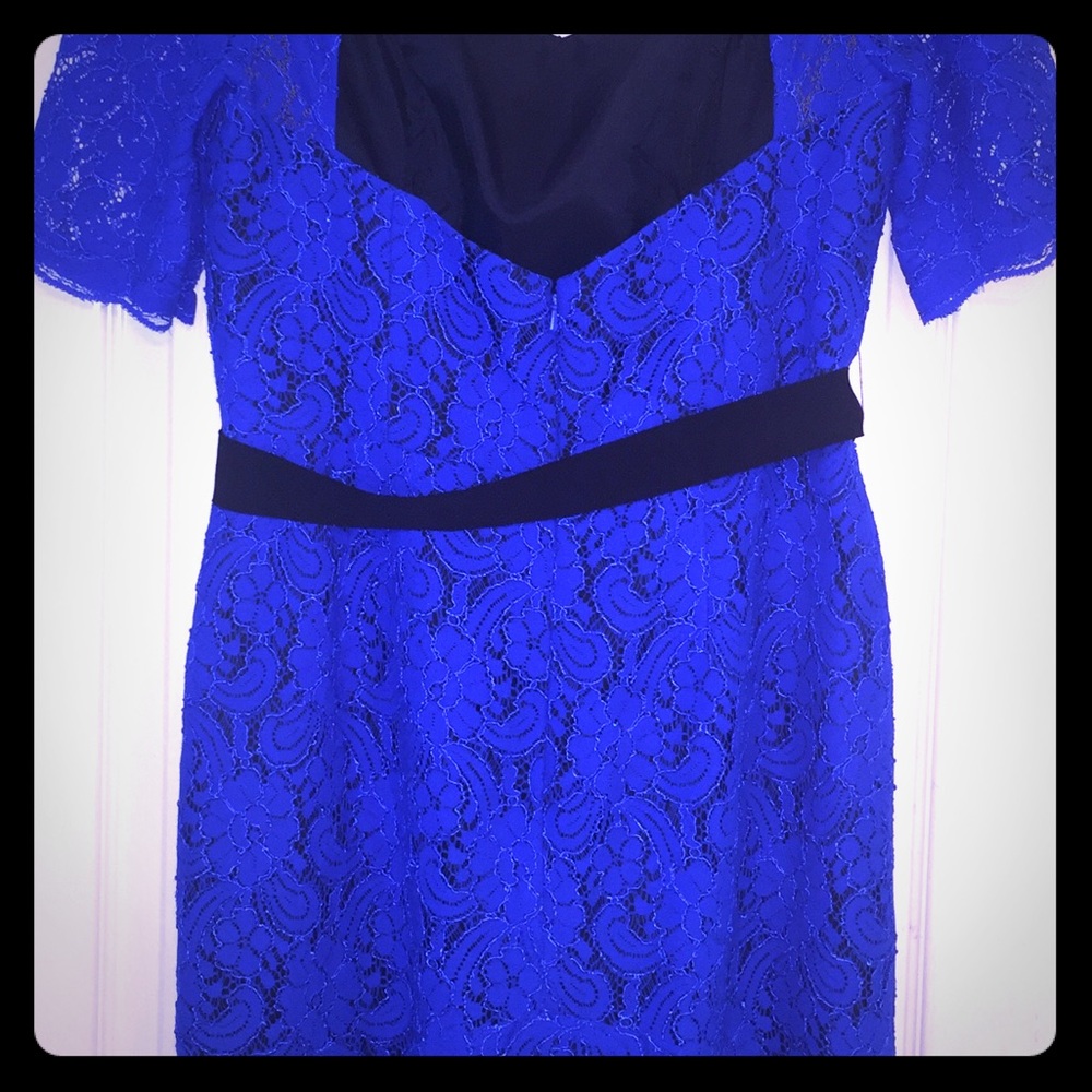 Royal Blue Lace Cocktail Dress